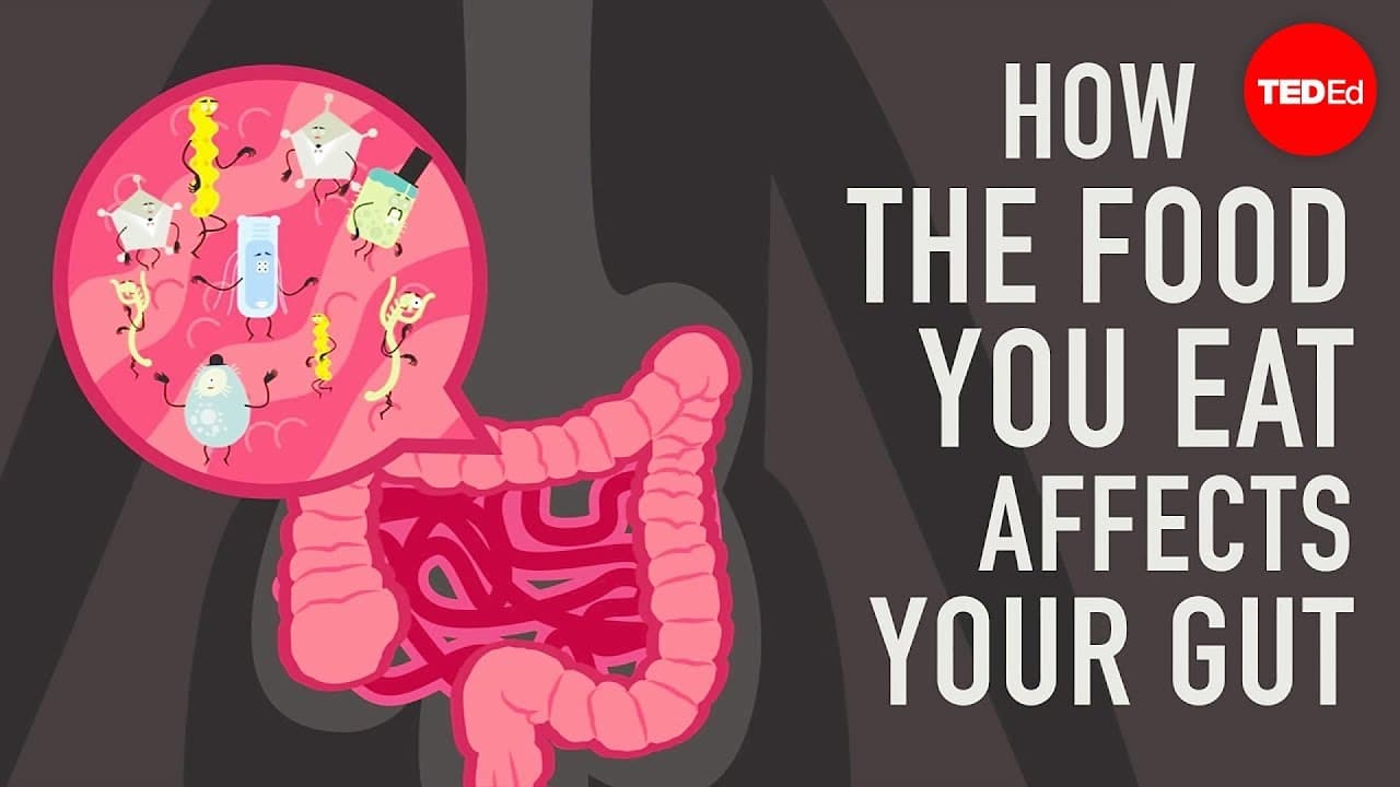 How the Food You Eat Affects Your Gut