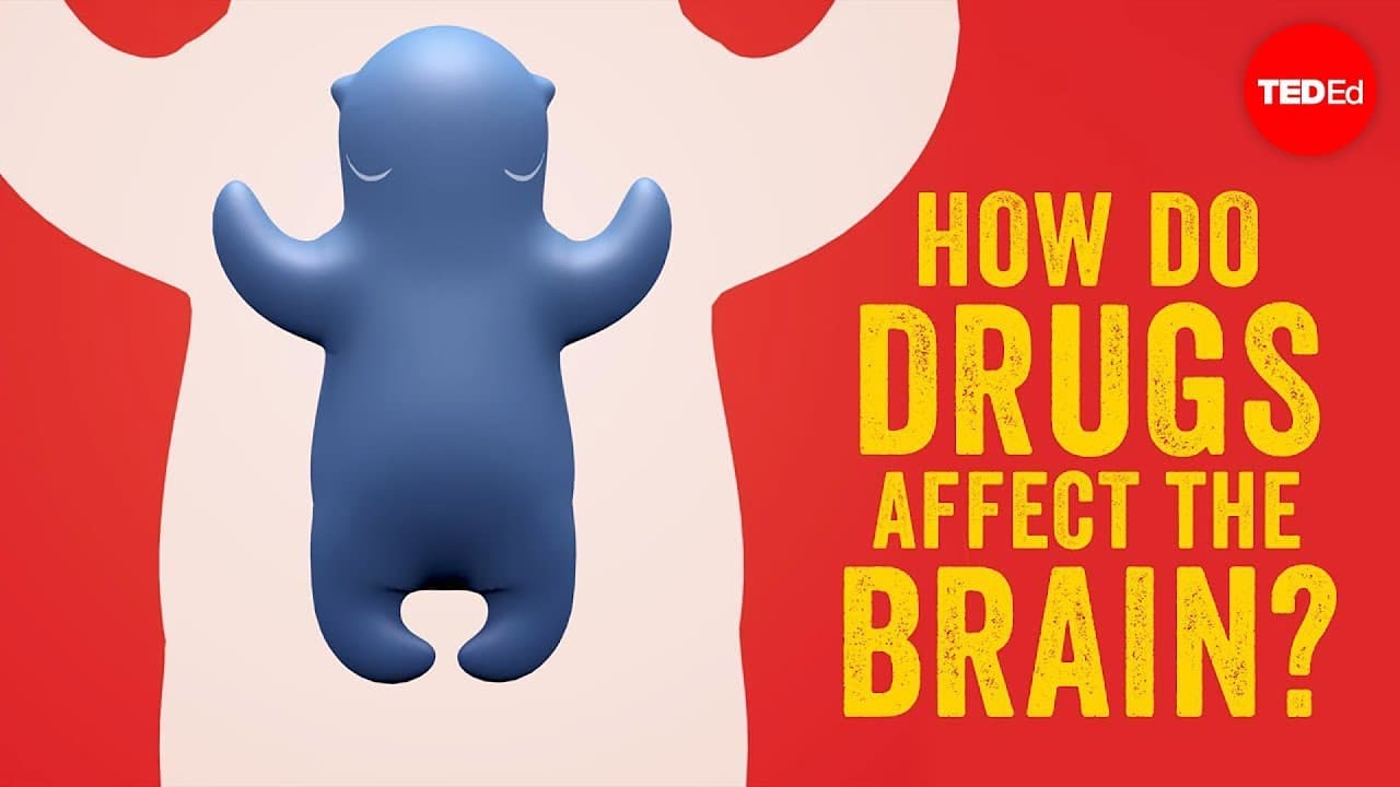 How Do Drugs Affect the Brain?