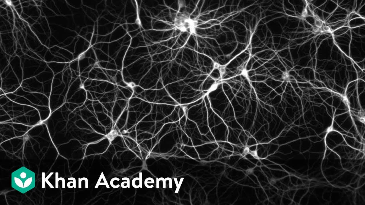 How to Grow Your Brain