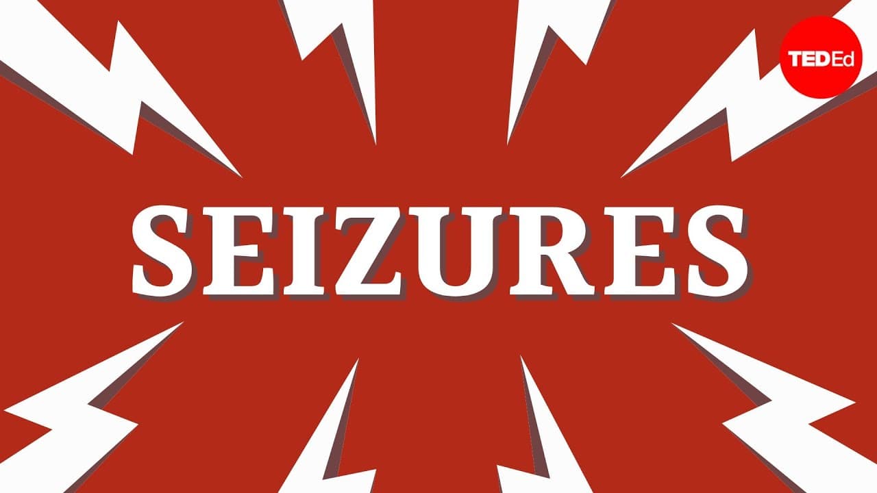 "What Causes Seizures, and How Can We Treat Them?"