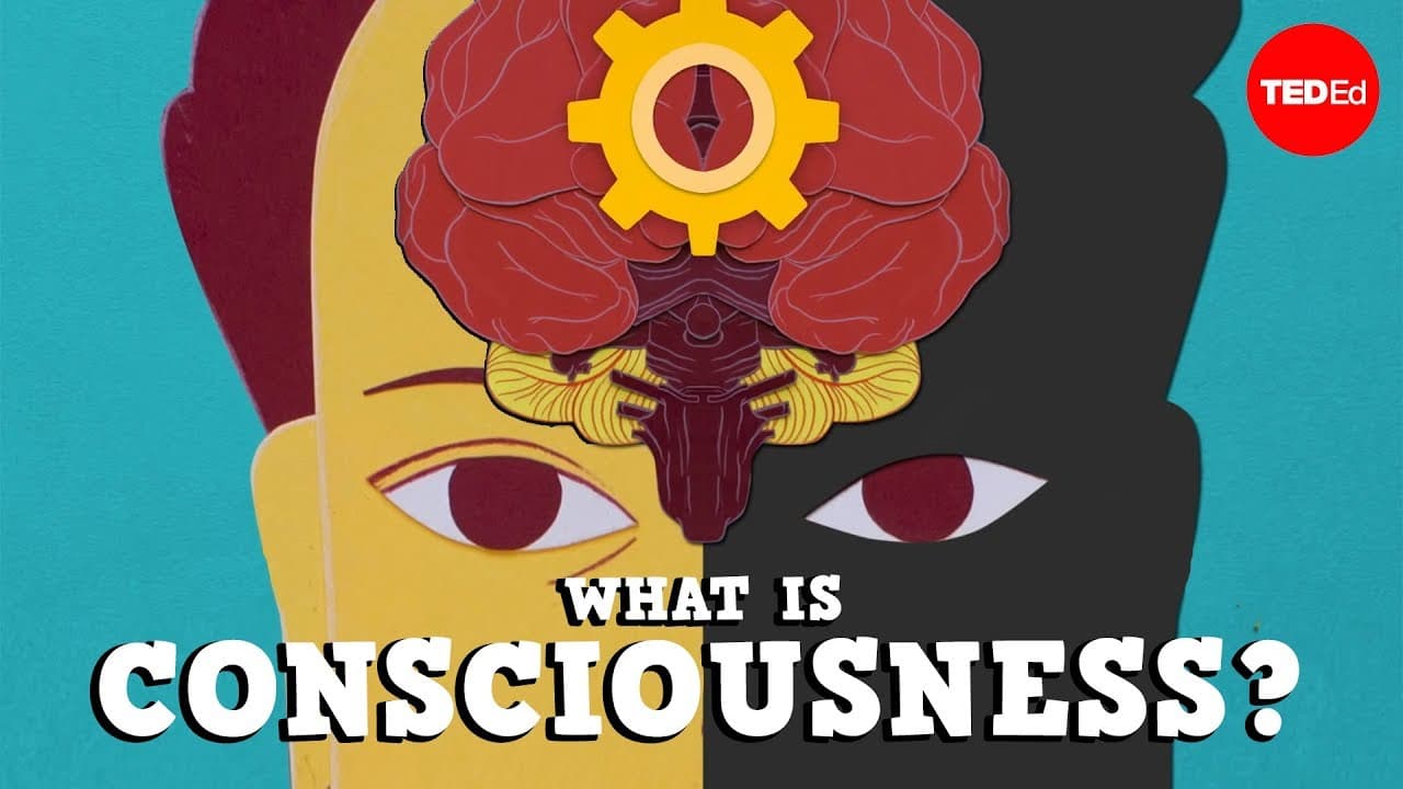 What is Consciousness?