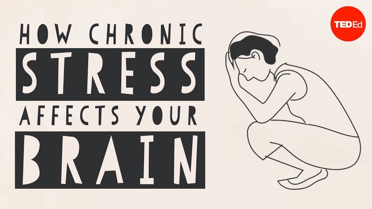 How Stress Affects Your Brain