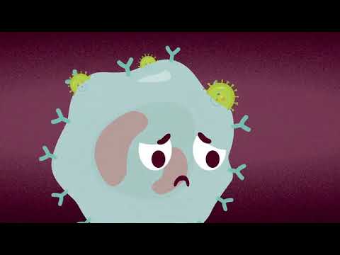 Understanding HIV 