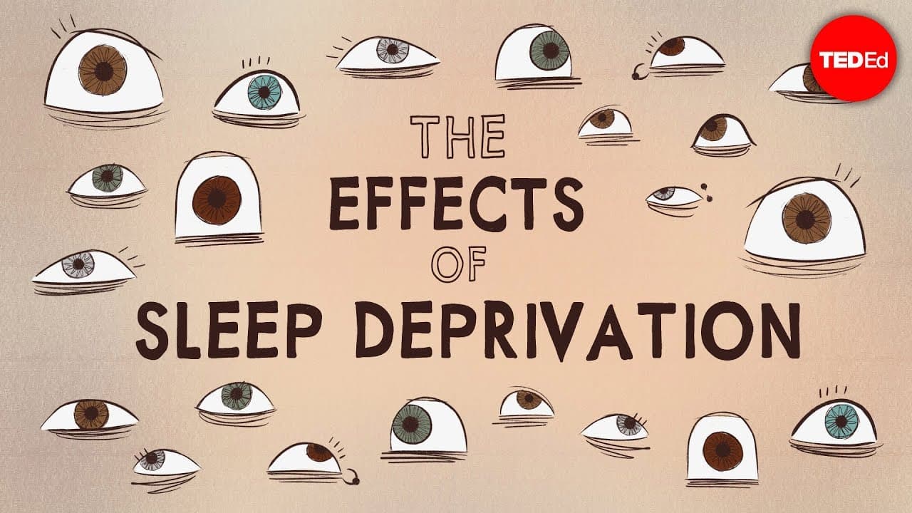 What Would Happen if You Didn’t Sleep?