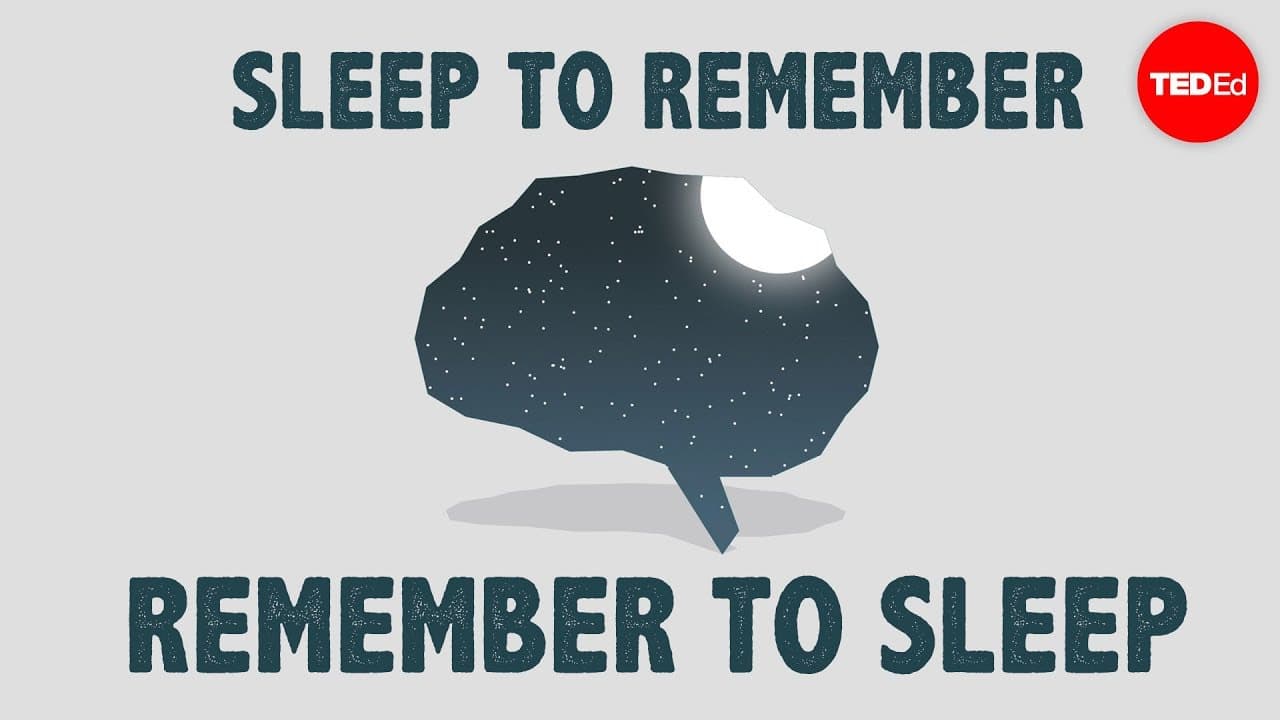 The Benefits of a Good Night's Sleep