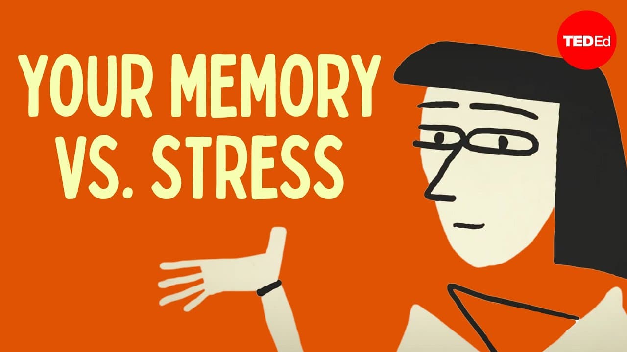 Does Stress Affect Your Memory?
