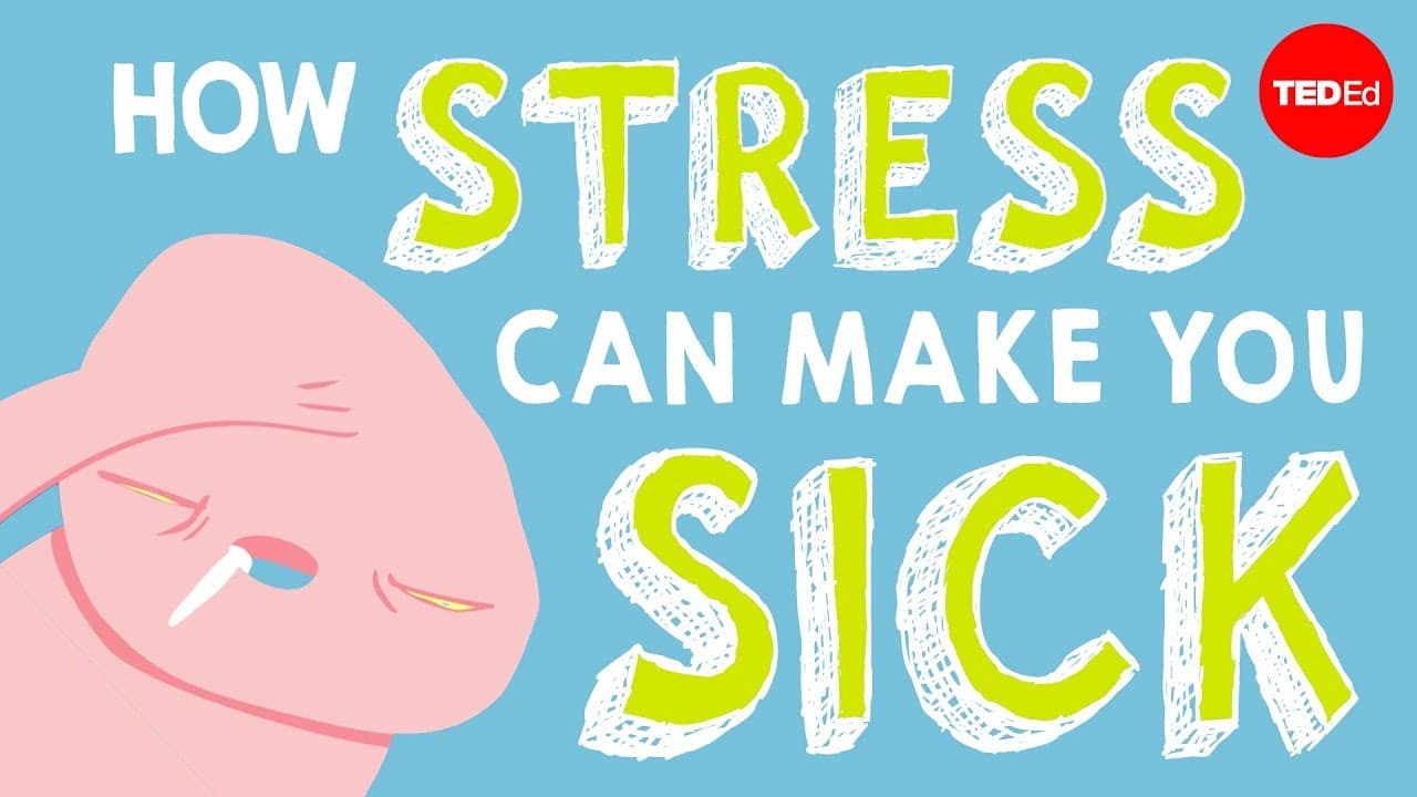 How Stress Affects Your Body