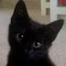 lenny